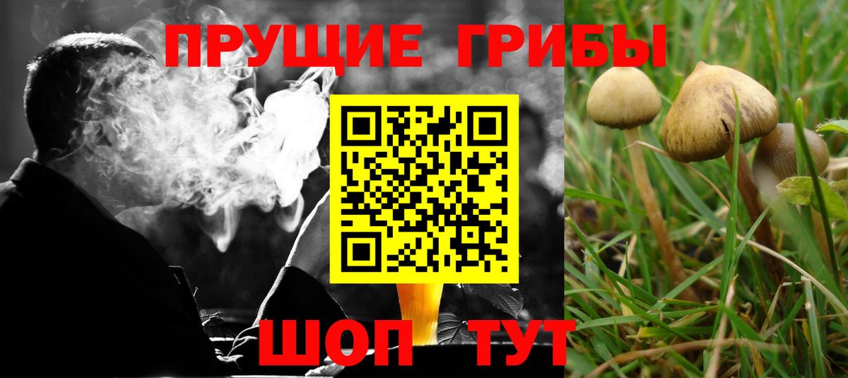 Галлюциногенные грибы ЛСД Новороссийск
