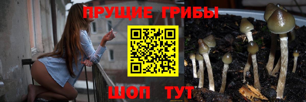 Галлюциногенные грибы мицелий  Вход с VPN  Новороссийск 